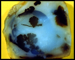 Copco Dendritic Agate