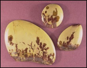 Flower Rim Jasper