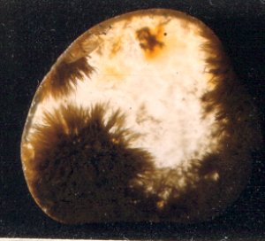 Newport Beach Agate