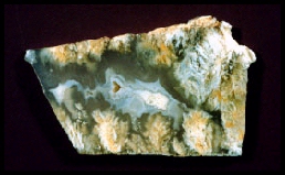 Nyedigger Ranch Plume Agate