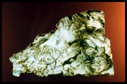 Ochoco Plume Agate