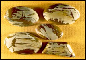 Owyhee Picture Jasper
