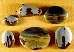 Owyhee Picture Jasper