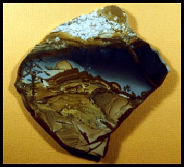 Owyhee Picture Jasper