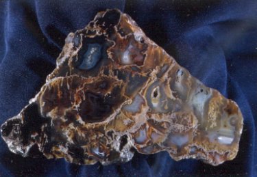 Plume Agate