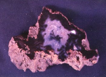 Plume Agate