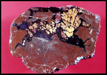 Priday Plume Agate