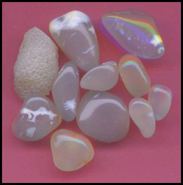 Snakeskin Agate