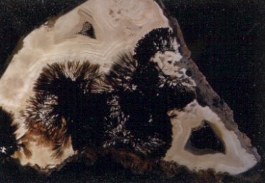 Sagenitic Agate