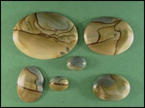 Wildhorse Picture Jasper