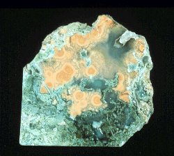 Pom Pom Agate