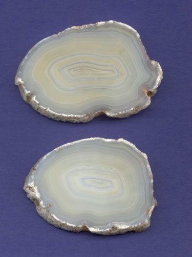 Toyah Agate