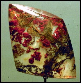 Woodward Ranch Plume Agate Doublet