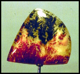 Woodward Ranch Plume Agate Doublet
