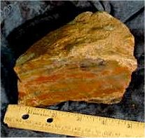 Green River Petrified Wood