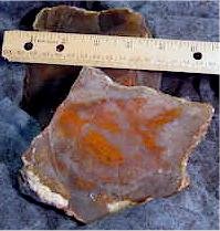 Last Chance Pigeon Blood Agate
