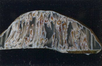 Kalama Agate