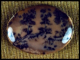 Dendritic Opal