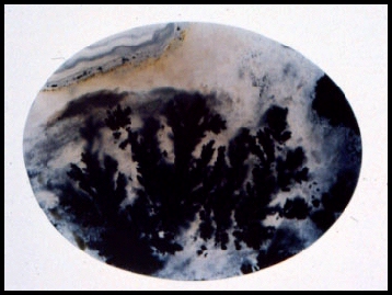 Medicine Bow Plume Agate
