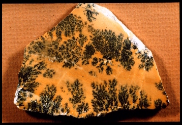 Dendritic Opal