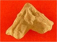 ?Synarmocrinus