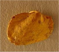 Nuculopsis?