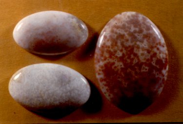 Agatized Oolite