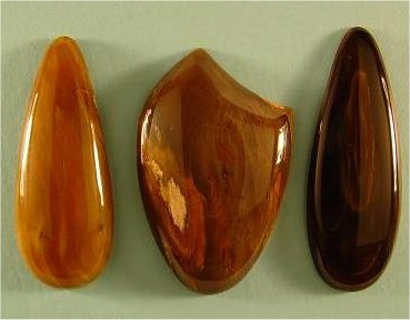 Agatized Wood