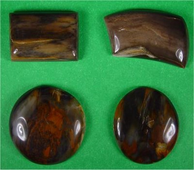 Agatized Wood