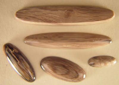 Agatized Wood