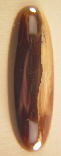 Agatized Wood