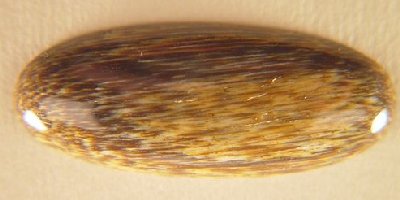 Agatized Wood