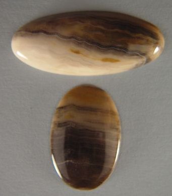 Agatized Wood