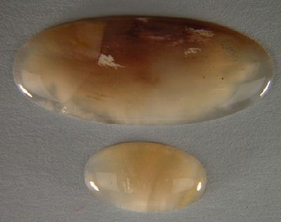Agatized Wood