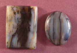 Agatized Wood