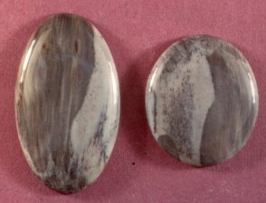 Agatized Wood