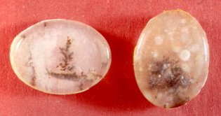 Dendritic Agate