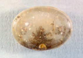 Dendritic Agate