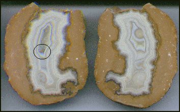 Fairburn (Fortification) Agate