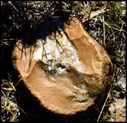 Fortification Agate