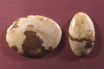 Jasper