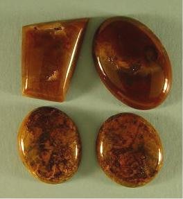 Jasper
