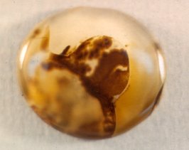Moss Agate