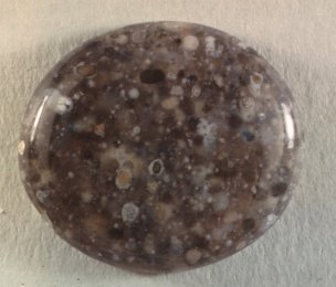 Orbicular Jasper