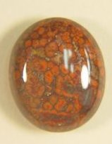 Orbicular Jasper