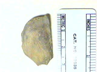 Chimaeroids, Skates, Rays