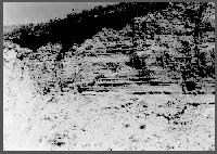 May 20, 1948. Terrace deposits in north bank of tributary of South Loup River. Near center of 28-12N-15W, Buffalo County, Nebraska. The contact is marked by top of spade handle and head of the geology hammer.