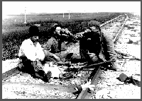 G.E. Condra, later director of the Conservation and Survey Division, takes a break with Barker and Pool from their Sand Hills field work, 1909.