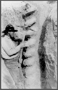 Seeing the limited materials on hand to teach geology, Erwin H. Barbour and assistant went into the field to look for fossil and mineral samples. They started in Sioux County, Nebraska, renting a covered wagon for transport. On their first day out, they found large corkscrew fossils that Barbour named "Daemonelix" (or Devil's Corkscrew). It was the first of many new fossils Barbour added to the pool of paleontological knowledge during his career.