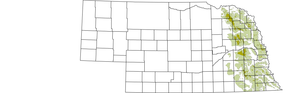 Till Map